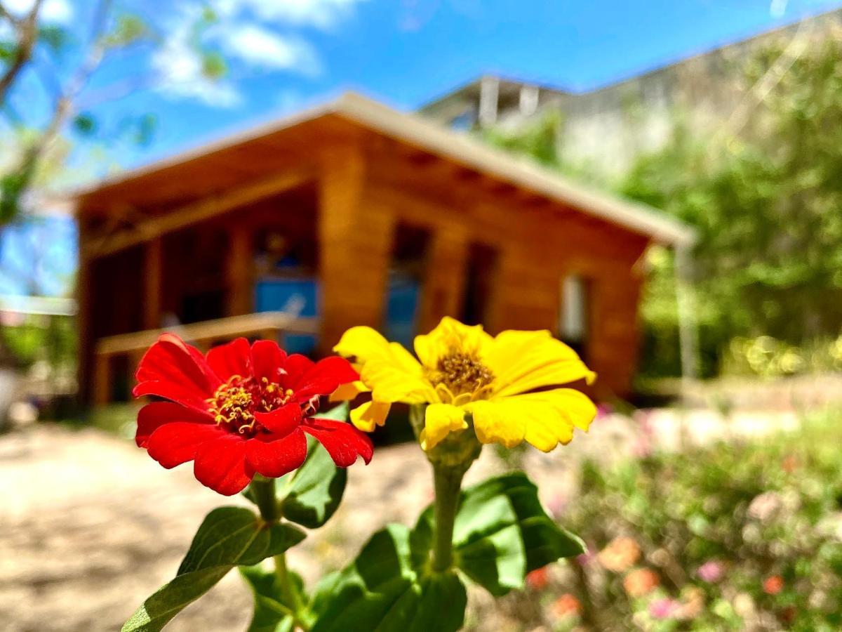 Hoja Azul Hojancha Exterior foto